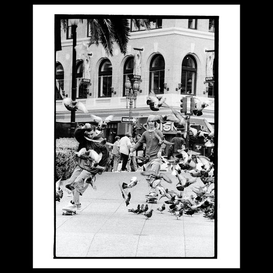 Brad Staba and Bobby Puleo Pigeons, Union Square, SF. 1996